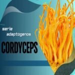 Cordyceps: Mejora tu Rendimiento Físico, Función Inmunológica y Apoyo Respiratorio para una Vida Longeva