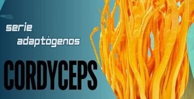 Cordyceps: Mejora tu Rendimiento Físico, Función Inmunológica y Apoyo Respiratorio para una Vida Longeva