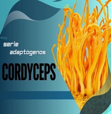 Cordyceps: Mejora tu Rendimiento Físico, Función Inmunológica y Apoyo Respiratorio para una Vida Longeva